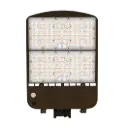 TUNDRA LED Area Light
