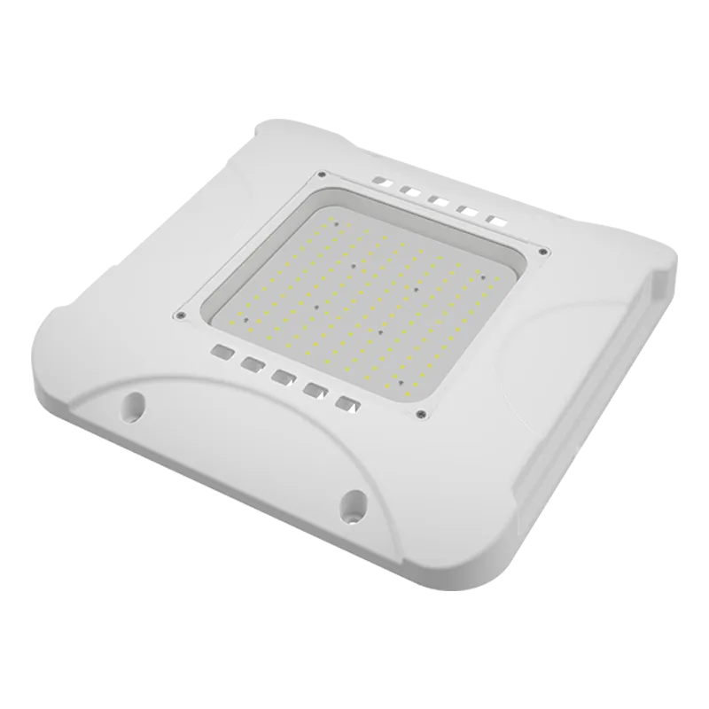 BOREAL Large Canopy Light - 150W