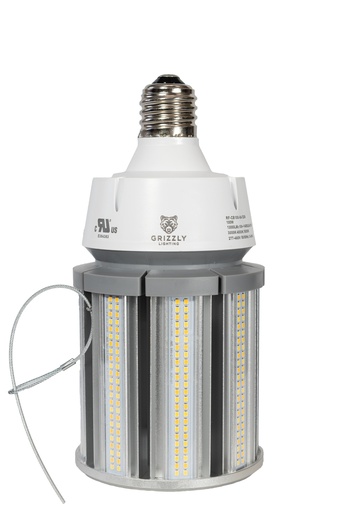 [RF-CB100-01-E39] Retrofit Corn Bulb - CCT Selectable - 100w