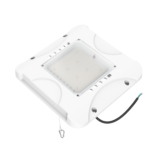 [EX-CP150-02] Canopy Light - 150W Tunable
